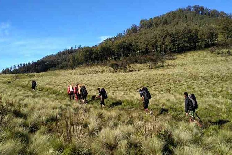 Hiking Gunung Lawu